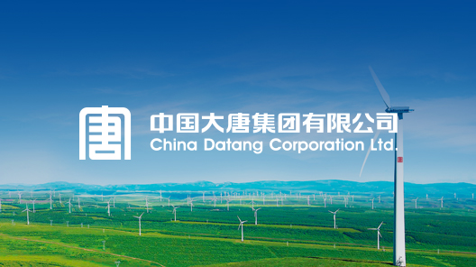 A China Datang foi fundada em 29 de dezembro de 2002. É uma empresa estatal de energia de grande porte extraordinário, diretamente administrada pelo governo central, com capital registrado de 37 bilhões de yuans. A empresa assume importantes responsabilidades, como garantir a segurança energética nacional, servir ao desenvolvimento econômico e social e contribuir para a construção da "Bela China".