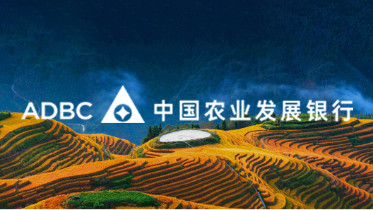 O Banco de Desenvolvimento Agrícola da China(Agricultural Development Bank of China) é o maior banco agrícola do mundo, o único banco de política agrícola em nível nacional da China e está diretamente subordinado ao Conselho de Estado. Sua principal responsabilidade é captar recursos com base no crédito estatal para apoiar o desenvolvimento das questões relacionadas à agricultura, ao campo e aos agricultores. Dedica-se integralmente a servir à segurança alimentar nacional, à consolidação e expansão dos resultados do combate à pobreza em articulação eficaz com a revitalização rural, à modernização agrícola, à construção agrícola e rural, ao desenvolvimento regional coordenado e à construção da civilização ecológica. Atualmente, o banco conta com mais de 2.000 unidades organizacionais em quatro níveis — matriz, província, cidade e condado — e quase 50 mil funcionários em atividade. Sua rede de serviços está presente em todo o país, desempenhando papel principal e fundamental no sistema financeiro rural.
