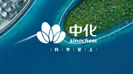A China Sinochem Holdings Co., Ltd. (abreviada como Sinochem Holdings) foi formada pela reorganização conjunta da Sinochem Group e da ChemChina, sendo oficialmente inaugurada em 8 de maio de 2021. É uma empresa estatal estratégica supervisionada pela Comissão Estatal de Supervisão de Ativos da China, com 210.000 funcionários.